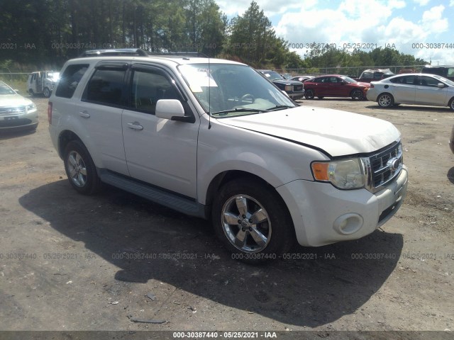 Ford Escape (2010)