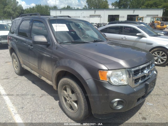 Ford Escape (2010)