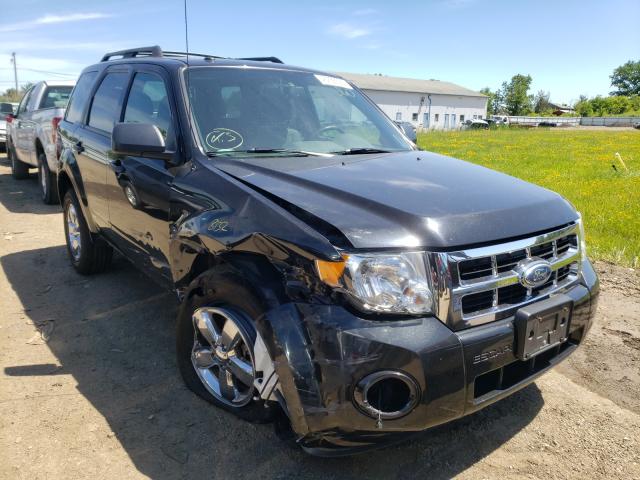 Ford Escape xlt (2011)