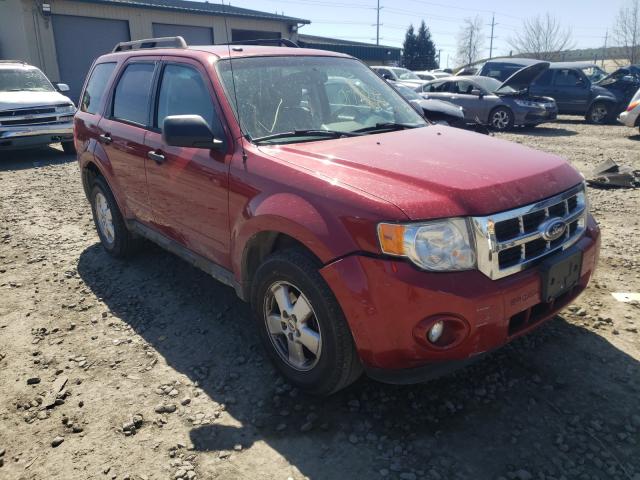 Ford Escape xlt (2011)