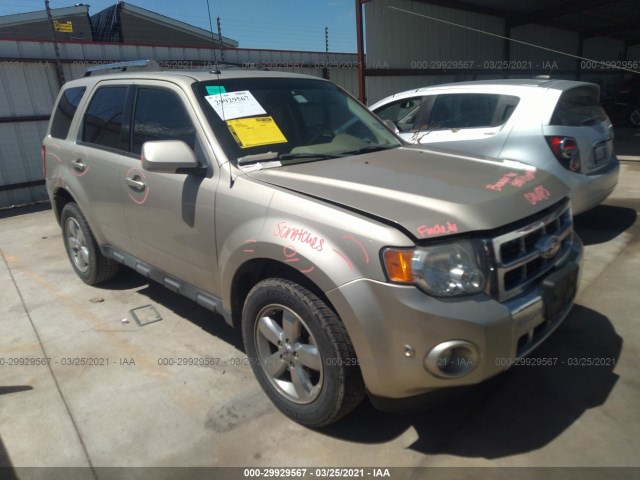 Ford Escape (2012)
