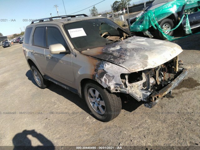 Ford Escape (2012)