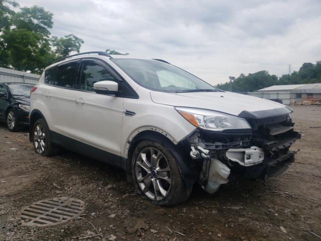 Ford Escape sel (2013)