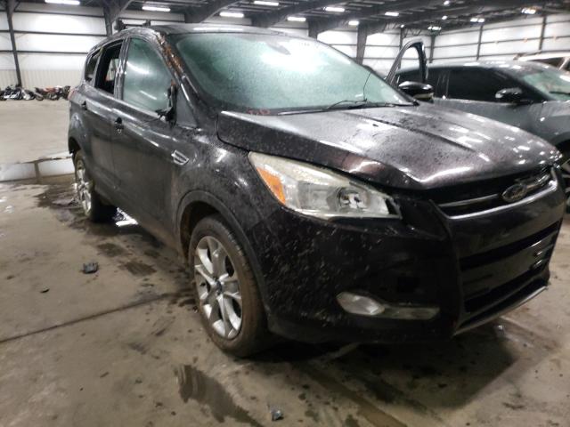 Ford Escape sel (2013)