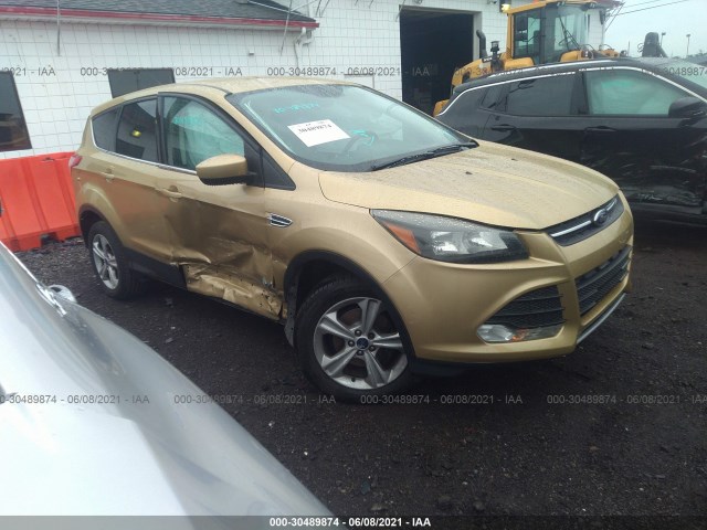 Ford Escape (2014)