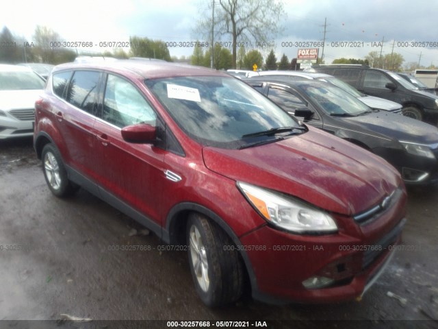 Ford Escape (2014)