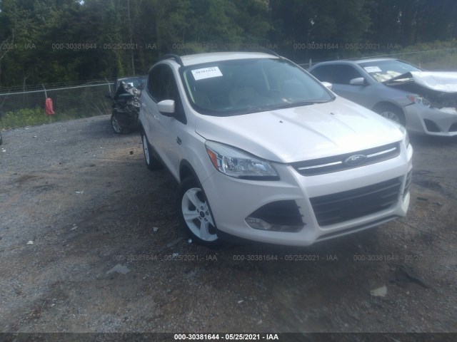 Ford Escape (2014)