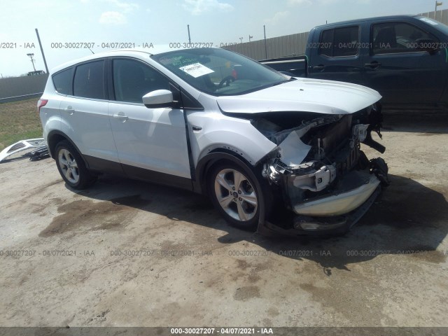 Ford Escape (2014)