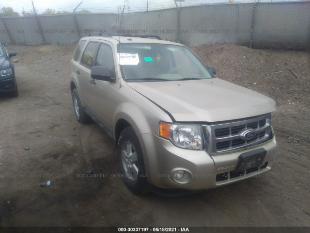 Ford Escape (2010)