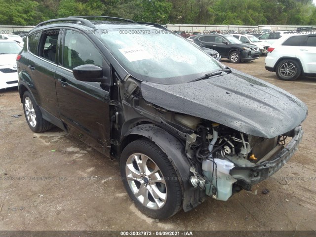Ford Escape (2013)