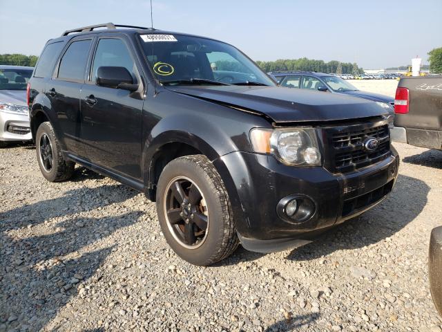 Ford Escape xlt (2011)