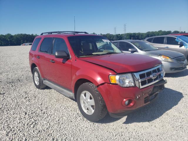 Ford Escape xlt (2011)