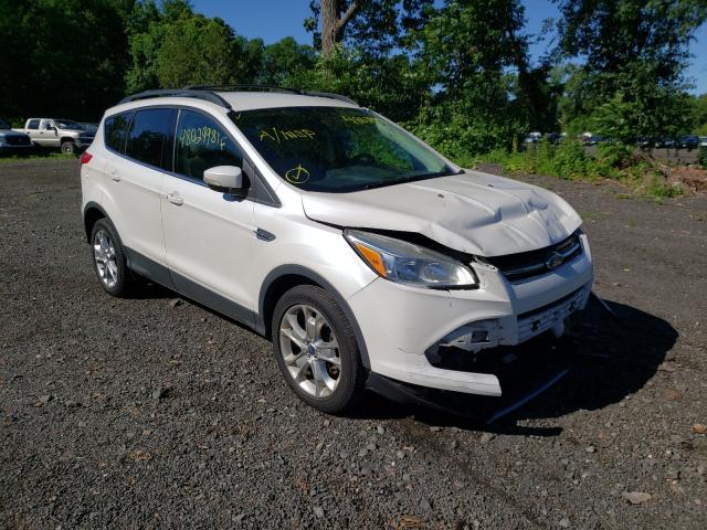 Ford Escape sel (2013)