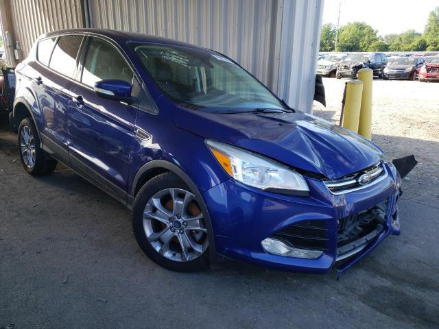 Ford Escape sel (2013)
