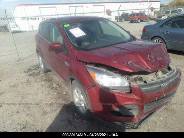 Ford Escape (2015)