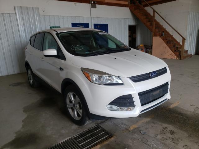 Ford Escape se (2015)