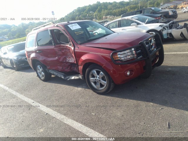 Ford Escape (2011)