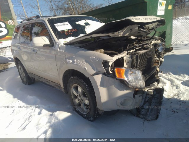 Ford Escape (2012)