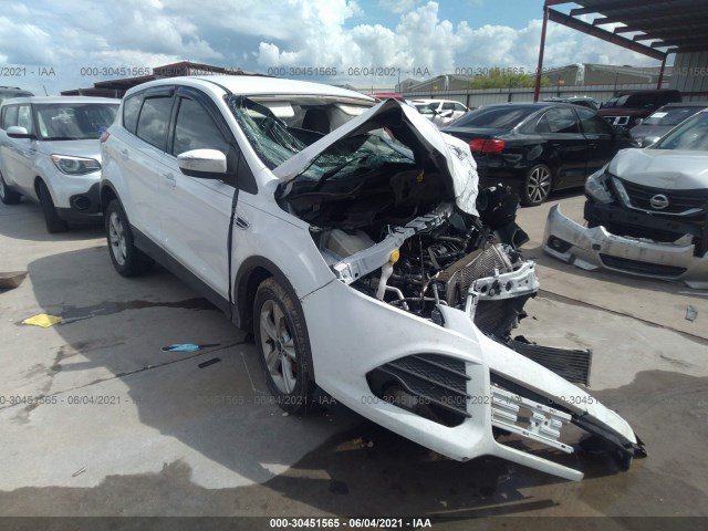 Ford Escape (2014)