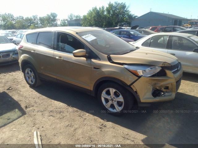 Ford Escape (2014)