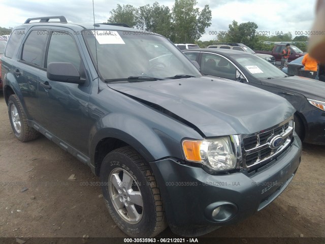 Ford Escape (2010)