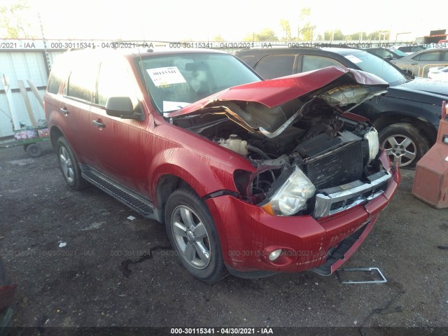 Ford Escape (2010)