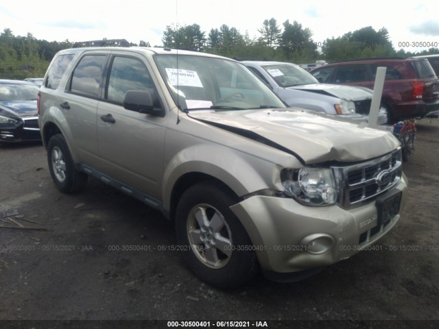Ford Escape (2010)