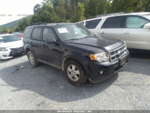 Ford Escape (2010)