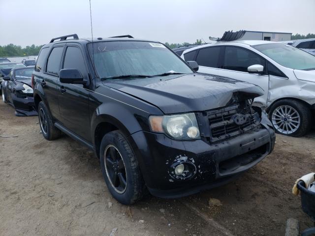 Ford Escape xlt (2010)
