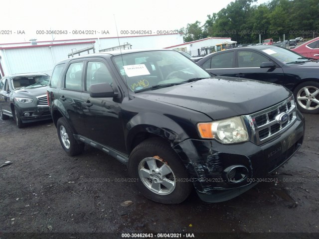 Ford Escape (2011)