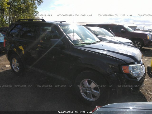 Ford Escape (2011)