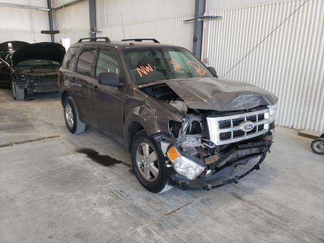 Ford Escape xlt (2011)