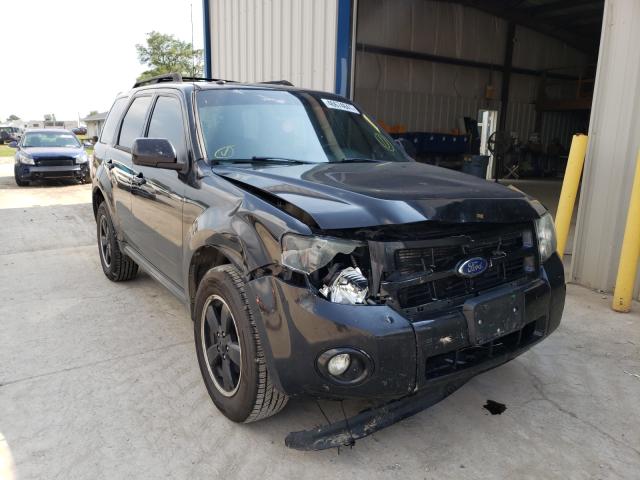 Ford Escape xlt (2011)