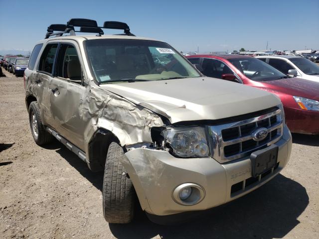 Ford Escape xlt (2012)