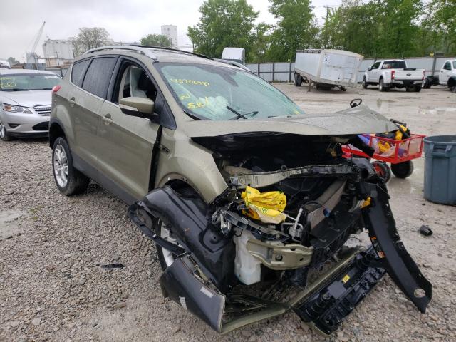 Ford Escape tit (2013)