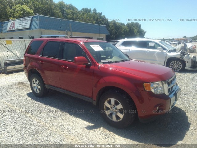 Ford Escape (2010)