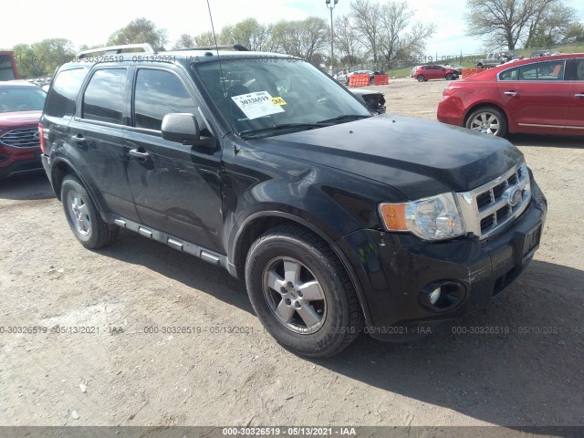Ford Escape (2010)