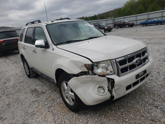 Ford Escape xlt (2010)