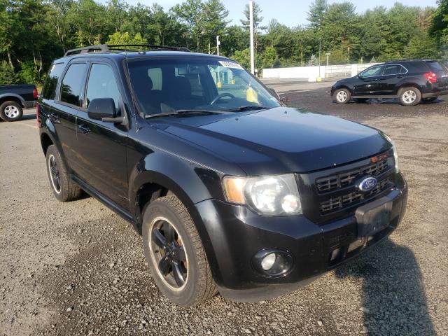 Ford Escape xlt (2010)
