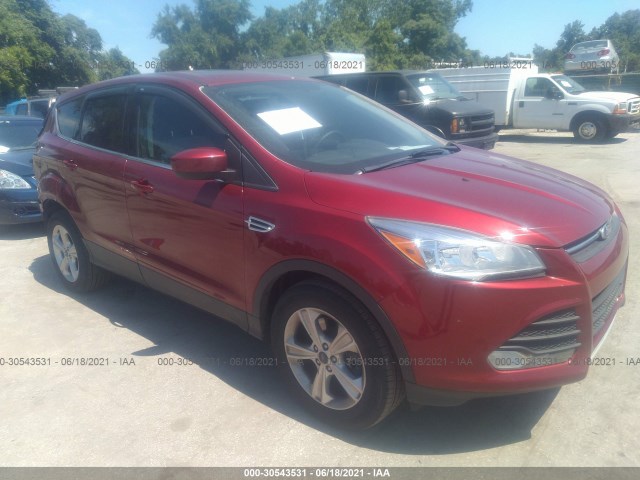 Ford Escape (2014)