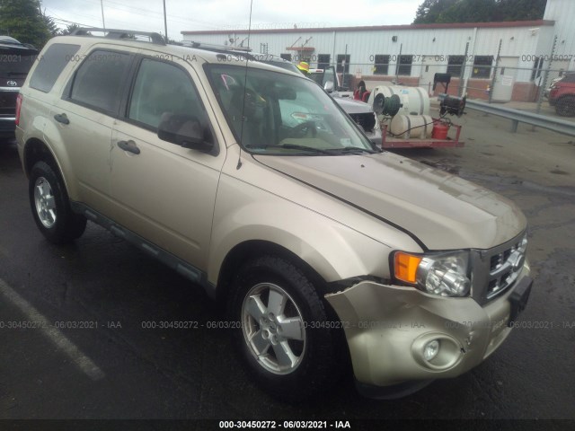 Ford Escape (2011)