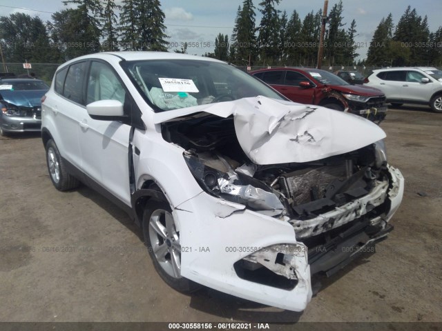 Ford Escape (2015)