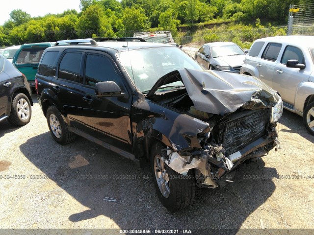 Ford Escape (2010)