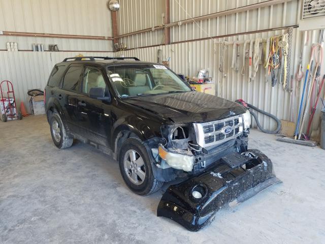 Ford Escape xlt (2010)
