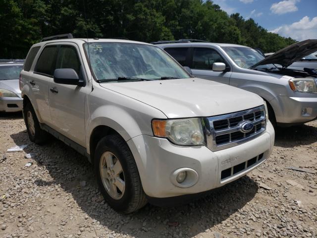Ford Escape xlt (2010)