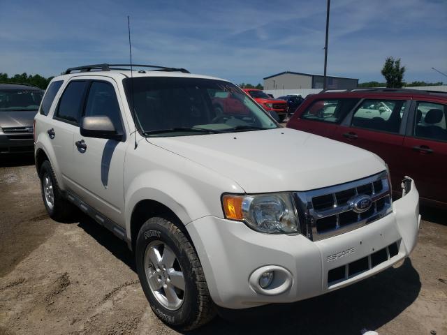 Ford Escape xlt (2010)