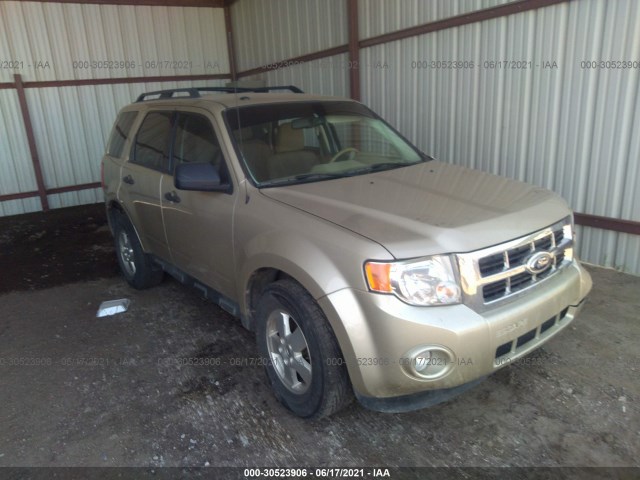 Ford Escape (2011)