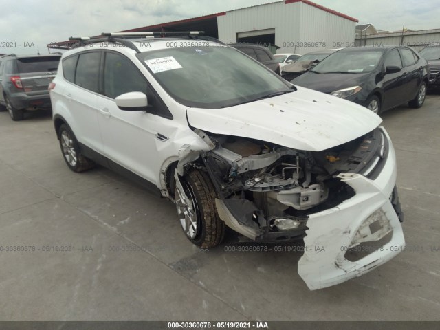 Ford Escape (2014)