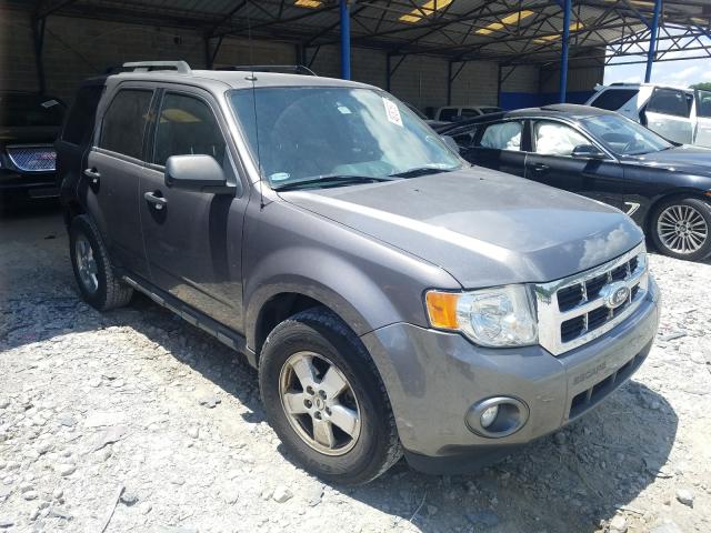 Ford Escape xlt (2011)