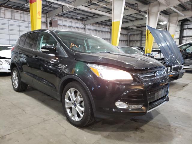 Ford Escape sel (2013)